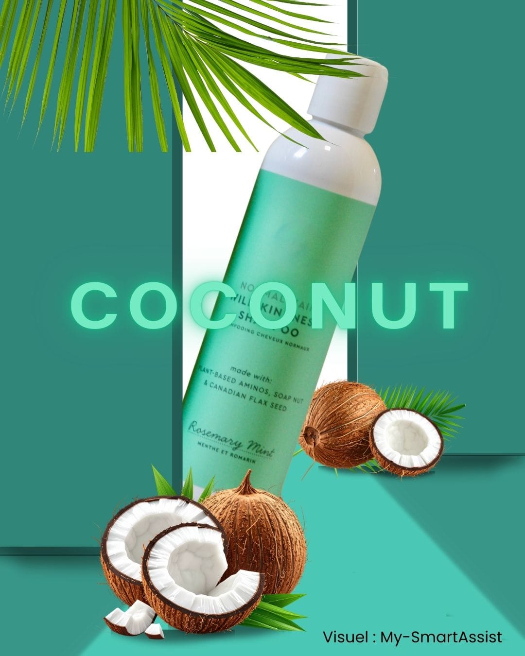 Modèle 6 de visuel Coconut